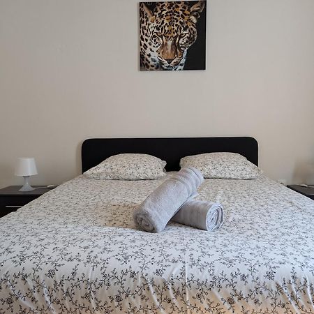 Le Mirage - Appartement 2 Chambres, Salon, Cuisine Equipee, Parking Et Wifi Gratuit Mulhouse Ngoại thất bức ảnh